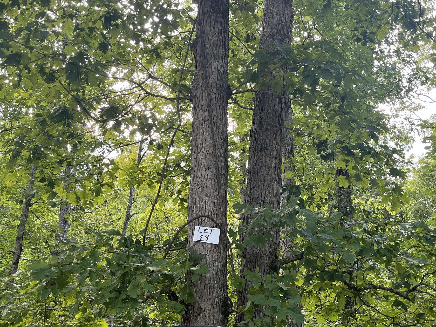 1.89 Acres of Residential Land for Sale in Somerset, Kentucky