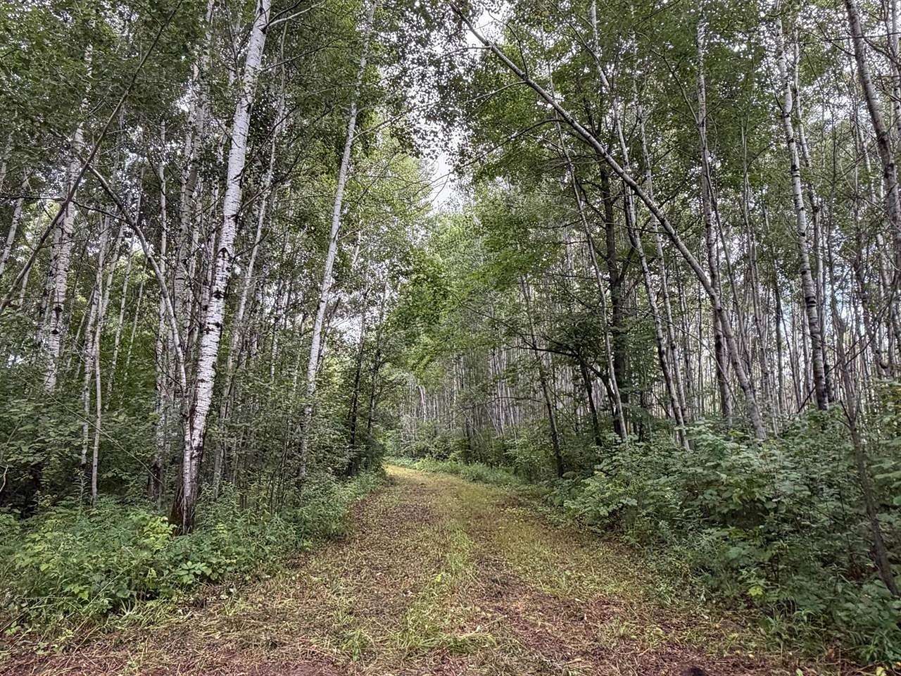 80 Acres of Recreational & Residential Land for Sale in Kettle River, Minnesota