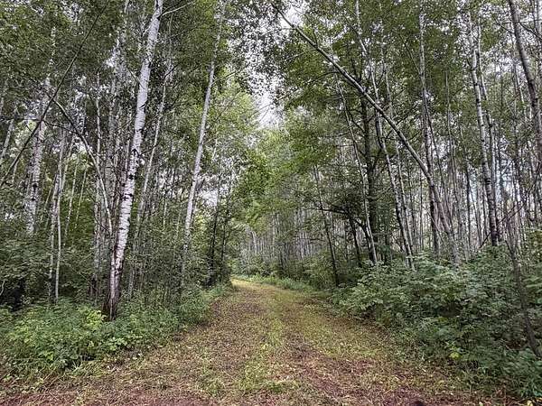 80 Acres of Recreational & Residential Land for Sale in Kettle River, Minnesota