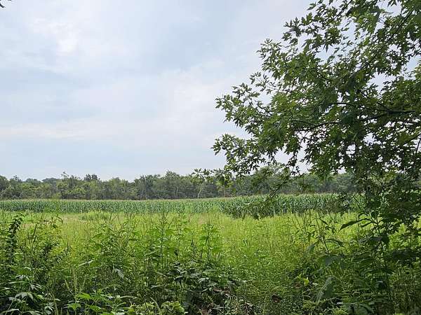 9.6 Acres of Residential Land for Sale in Westville, Indiana