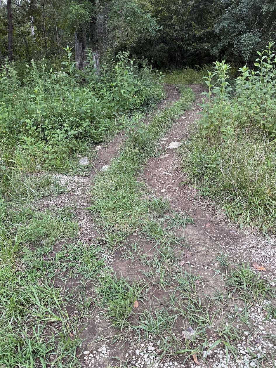 15 Acres of Land for Sale in Somerset, Kentucky