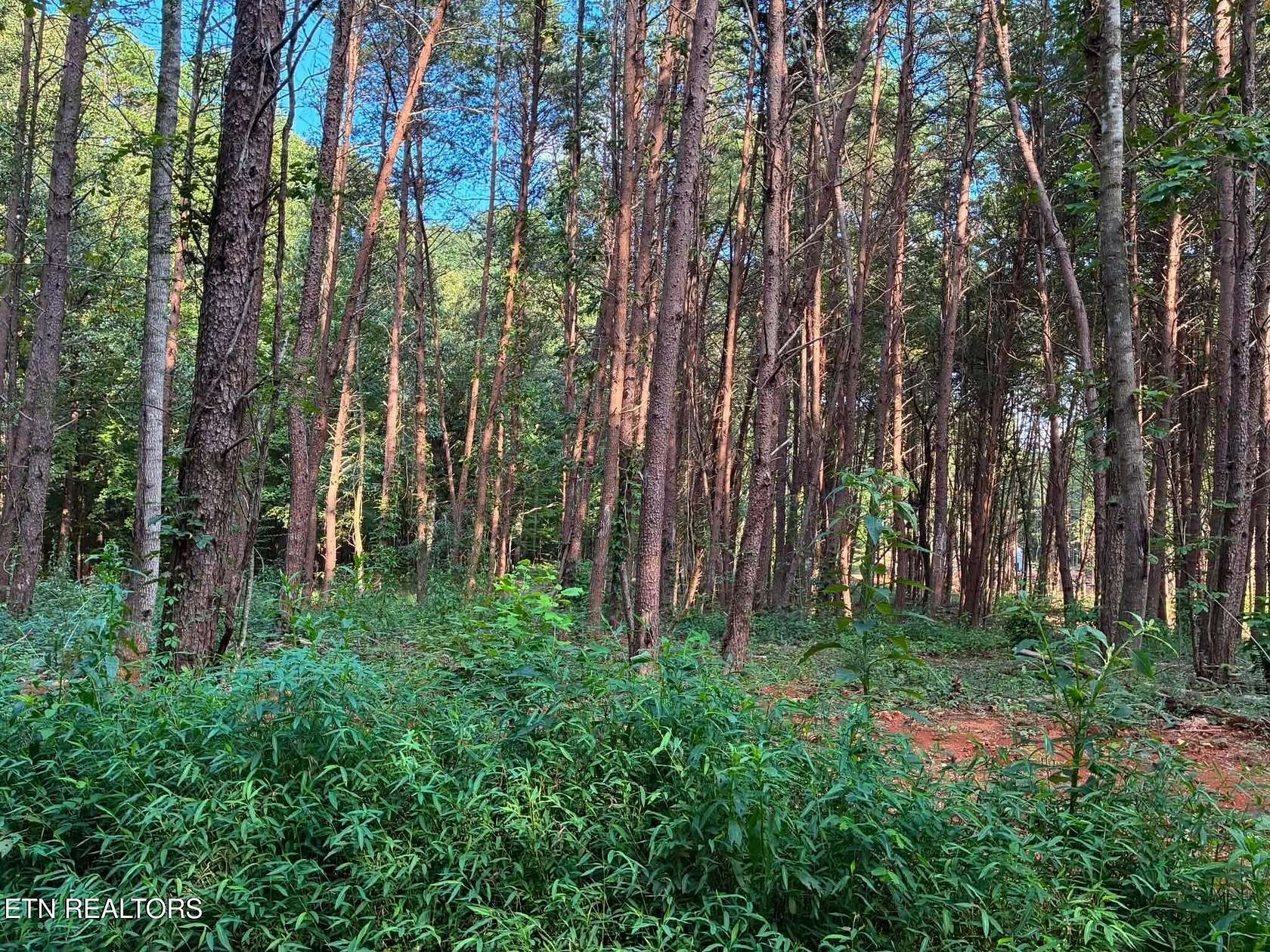 1 Acre of Residential Land for Sale in Niota, Tennessee