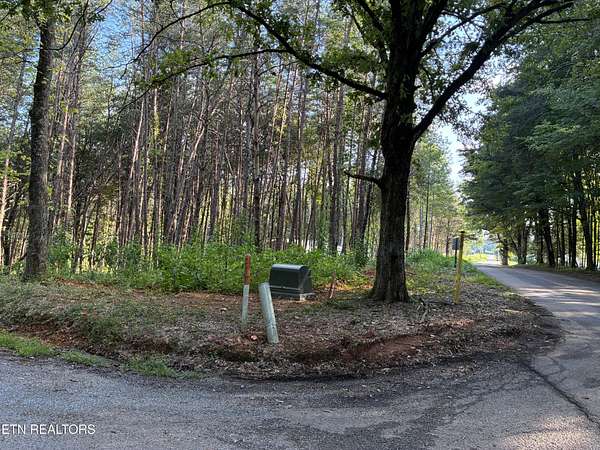 1 Acre of Residential Land for Sale in Niota, Tennessee