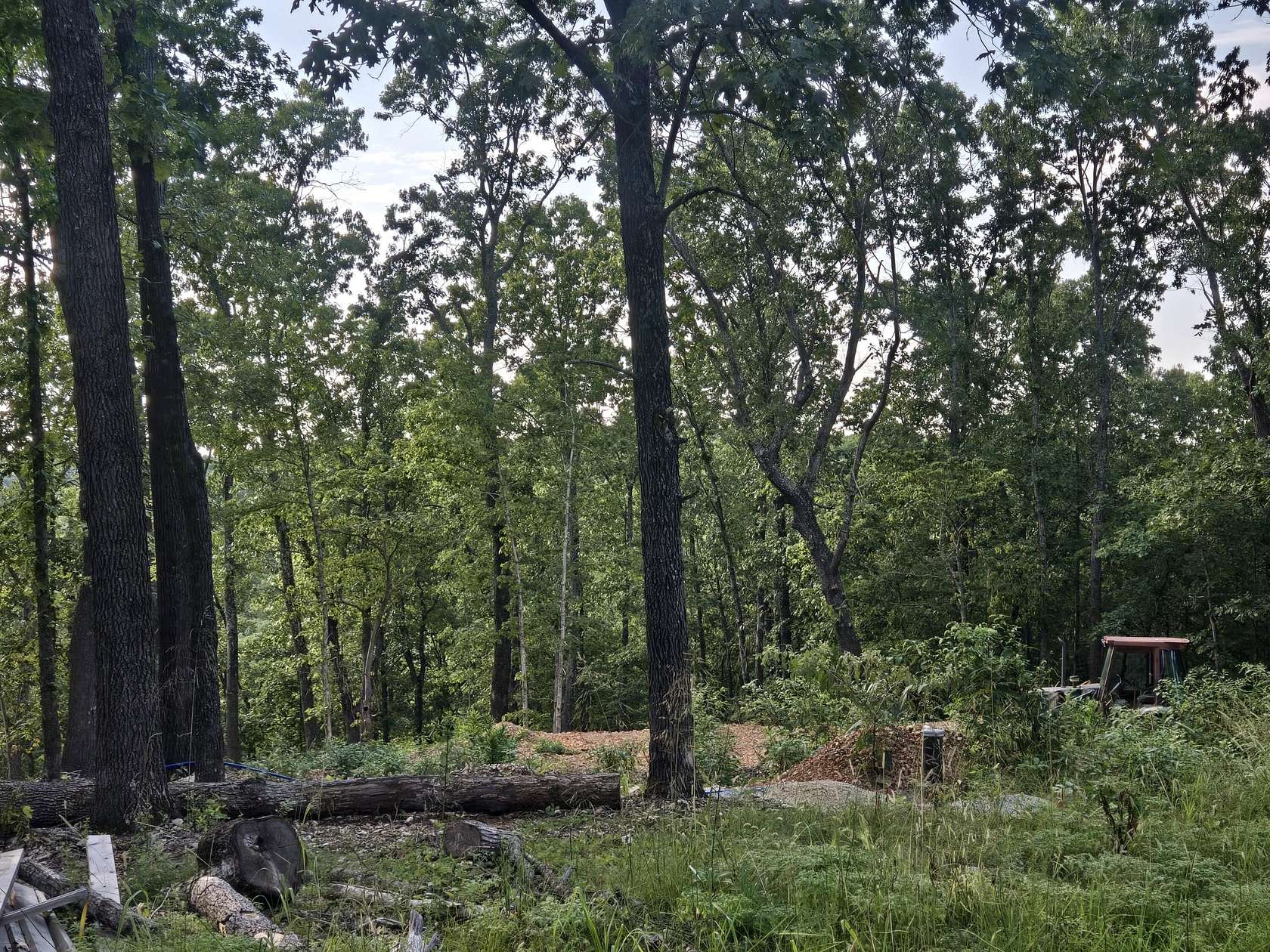 4.59 Acres of Residential Land for Sale in Cape Fair, Missouri