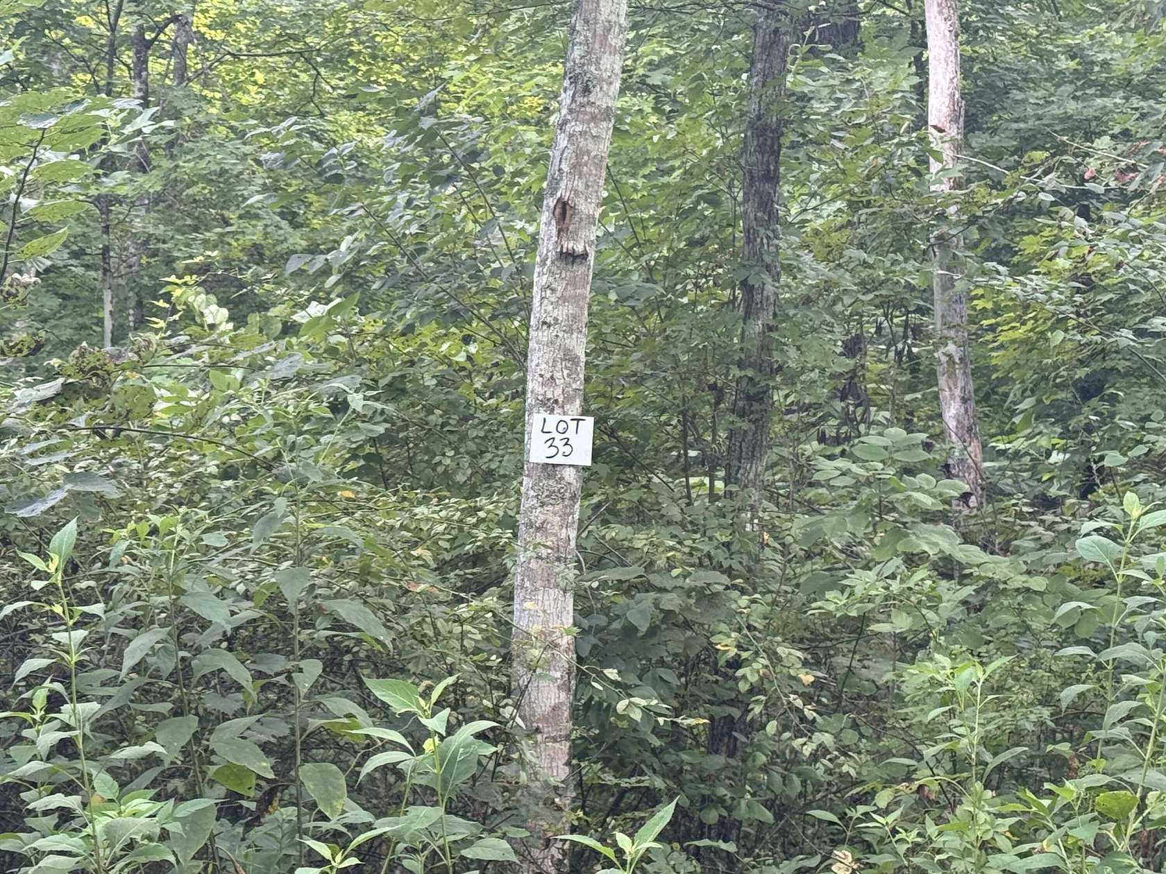 0.06 Acres of Land for Sale in Somerset, Kentucky