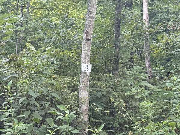 0.06 Acres of Land for Sale in Somerset, Kentucky