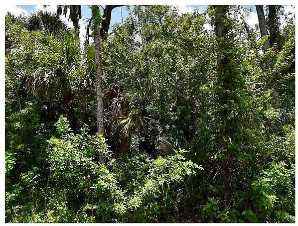 0.24 Acres of Residential Land for Sale in North Port, Florida