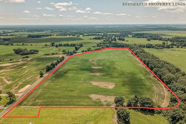 45.9 Acres of Land for Sale in Bells, Tennessee