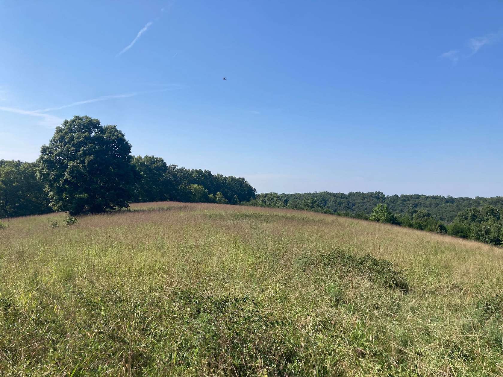 78 Acres of Land for Sale in Bruner, Missouri