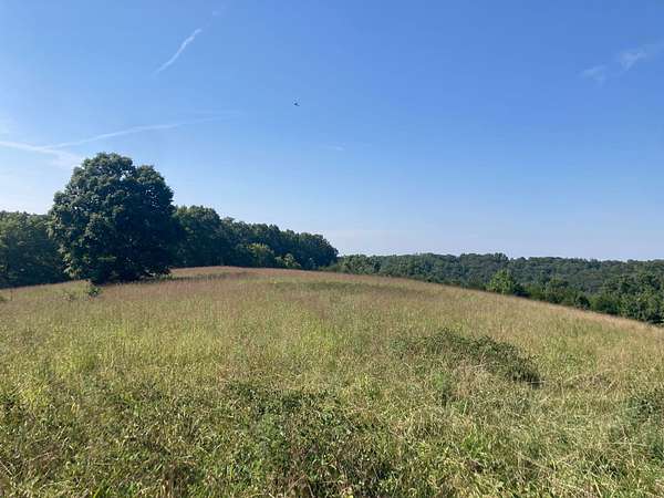 78 Acres of Land for Sale in Bruner, Missouri