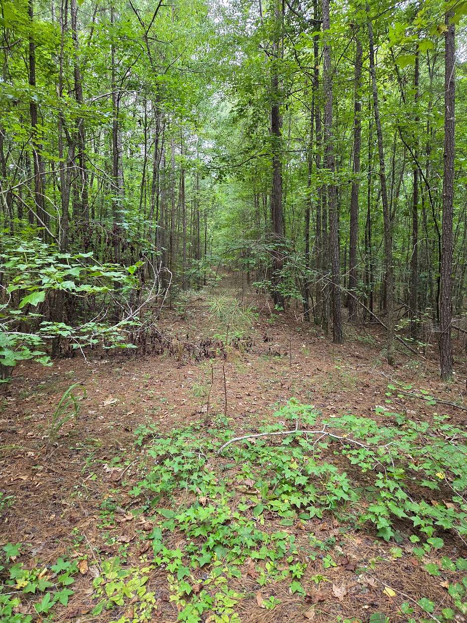 3.42 Acres of Residential Land for Sale in Locust Grove, Georgia