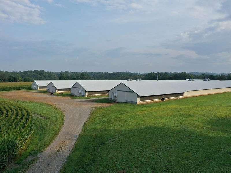 132 Acres of Land with Home for Sale in Campbellsville, Kentucky