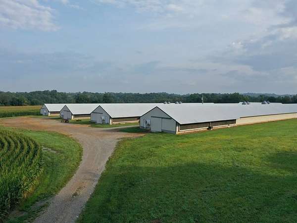 132 Acres of Land with Home for Sale in Campbellsville, Kentucky