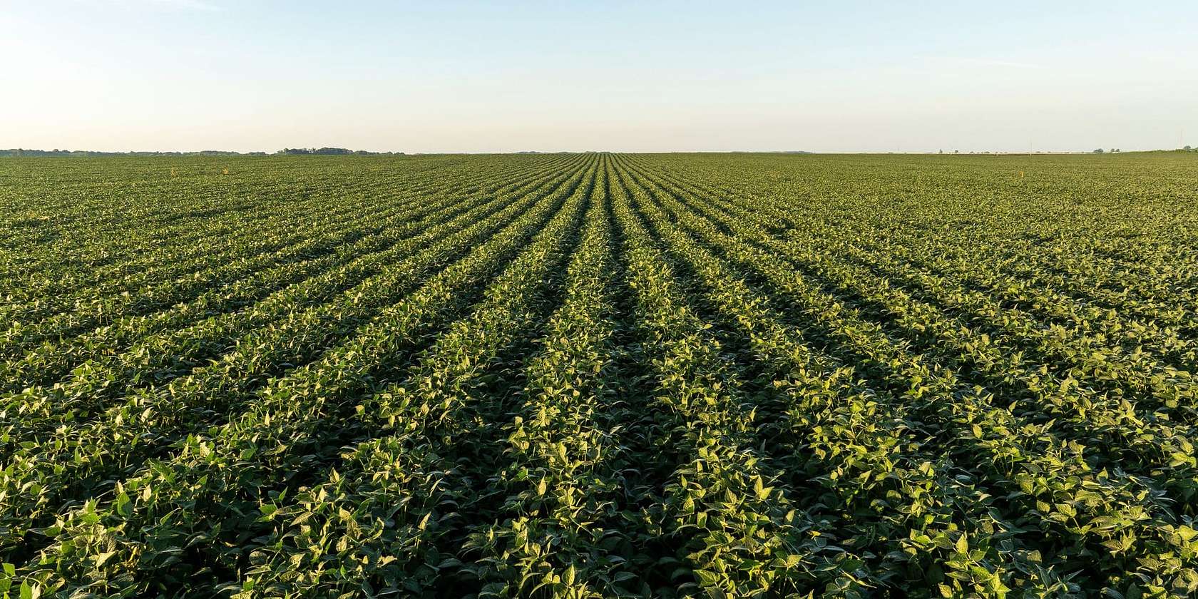 3,776 Acres of Land for Auction in Findlay, Ohio