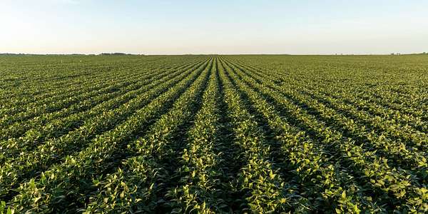 3,776 Acres of Land for Auction in Findlay, Ohio