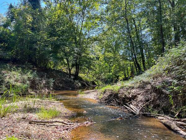 91.7 Acres of Recreational Land for Sale in Hazlehurst, Mississippi