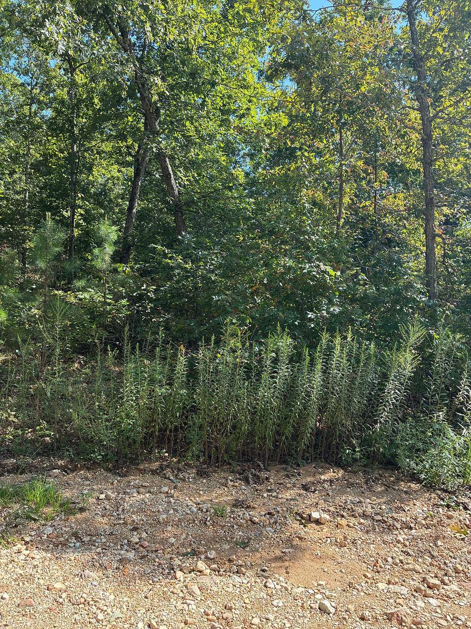 5.39 Acres of Land for Sale in Ellington, Missouri