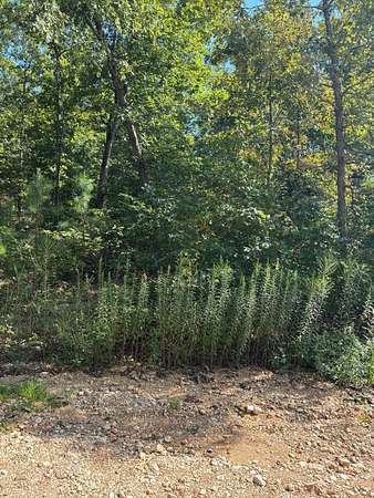 5.39 Acres of Land for Sale in Ellington, Missouri