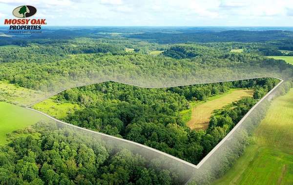 25.9 Acres of Land for Sale in Petrolia, Pennsylvania