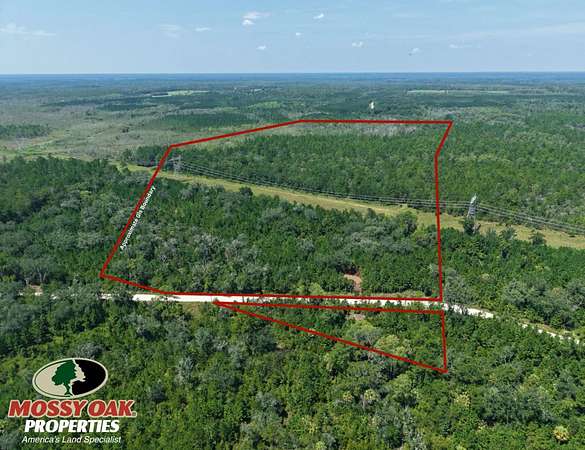 58.5 Acres of Recreational Land for Sale in White Oak, Georgia