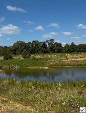 31 Acres of Land for Sale in Naples, Texas