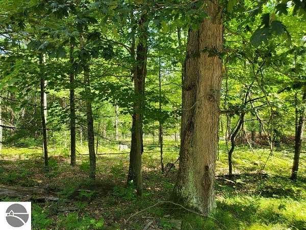 4.4 Acres of Residential Land for Sale in Prescott, Michigan