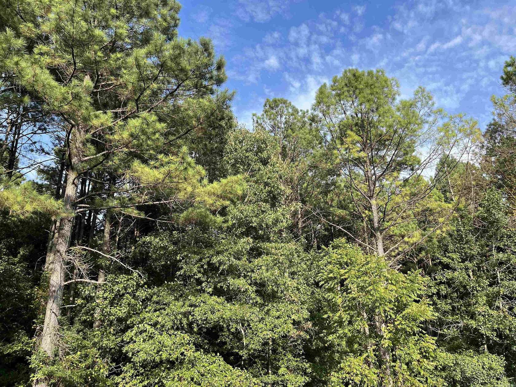 40 Acres of Recreational Land for Sale in Murfreesboro, Arkansas
