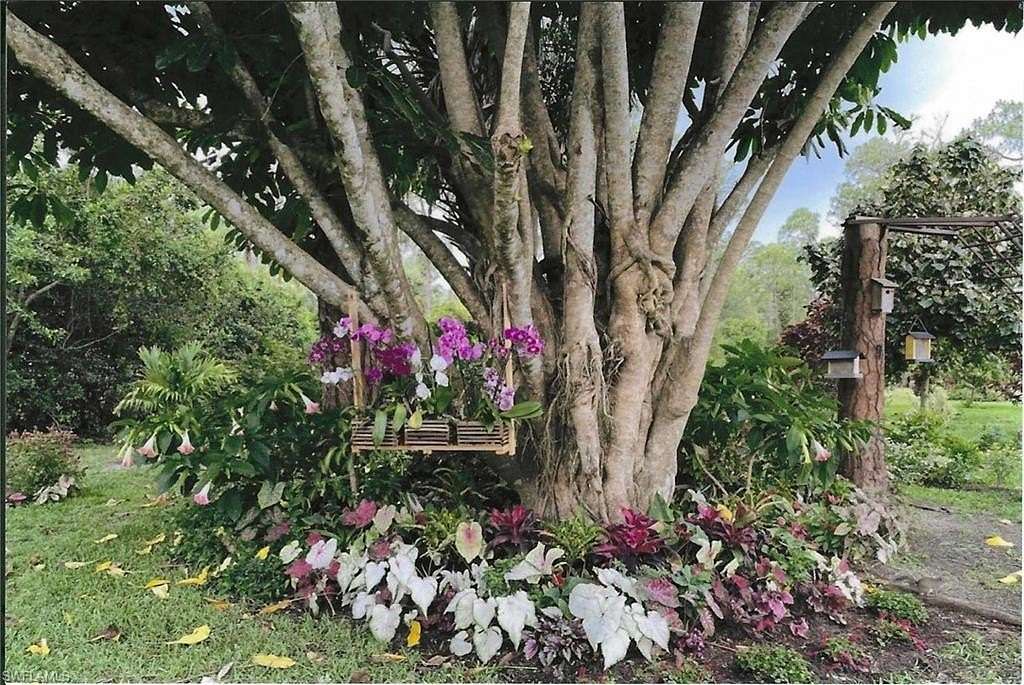 2.72 Acres of Land with Home for Sale in Naples, Florida