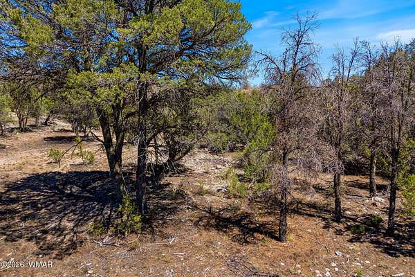 5.32 Acres of Residential Land for Sale in Overgaard, Arizona