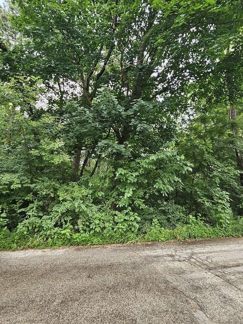 Residential Land for Sale in Fox Lake, Illinois