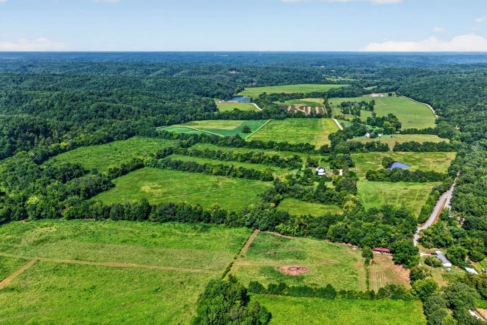 80.8 Acres of Land for Sale in Centerville, Tennessee