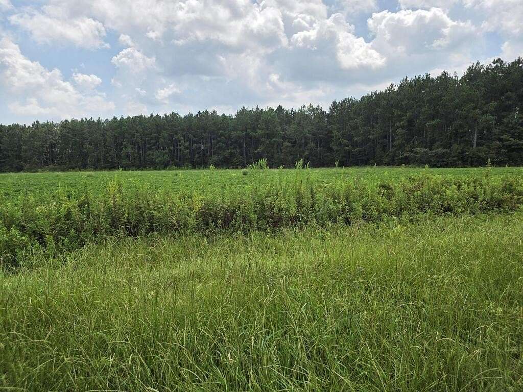 3.14 Acres of Residential Land for Sale in Fitzgerald, Georgia