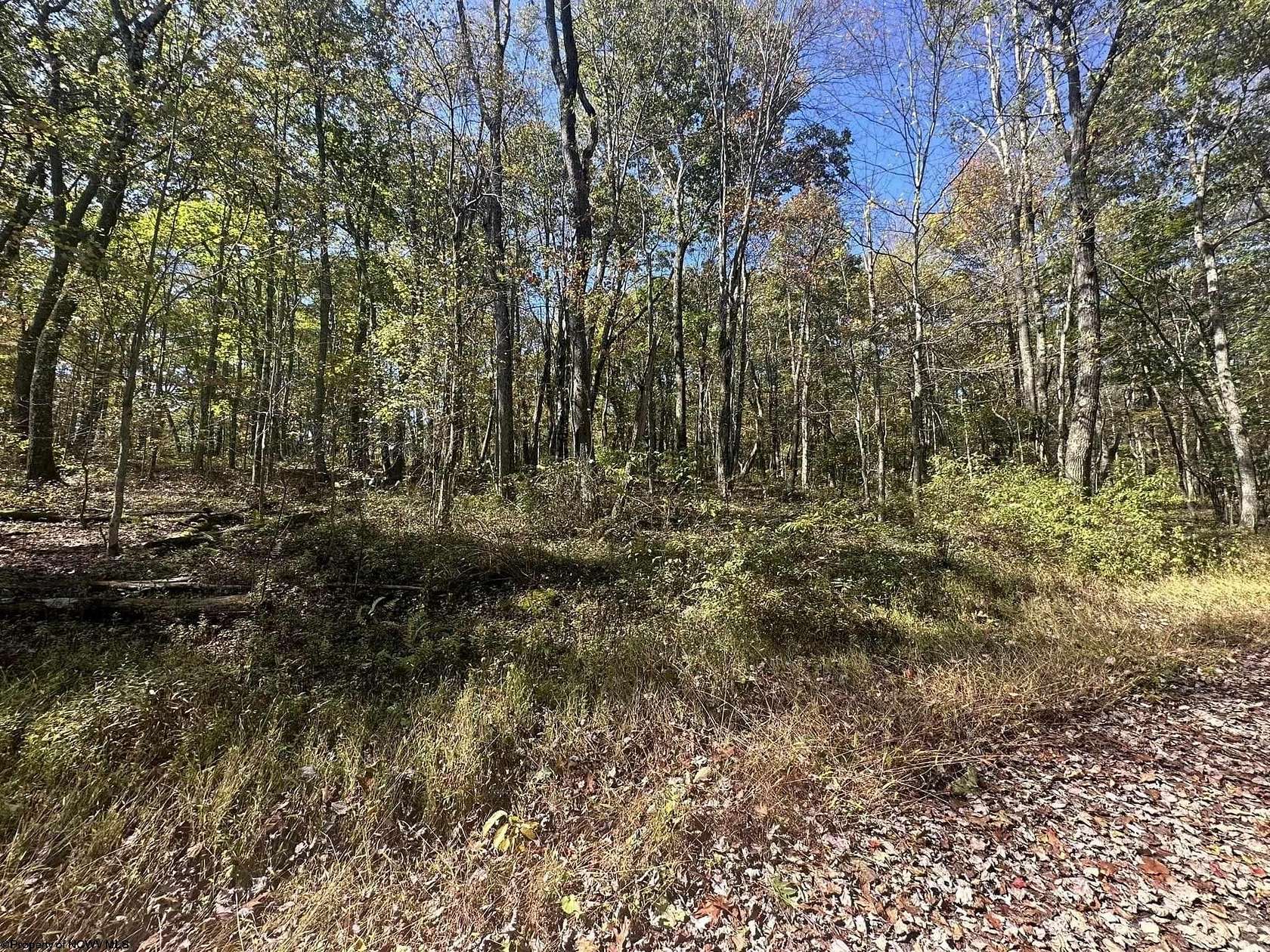 0.33 Acres of Residential Land for Sale in Terra Alta, West Virginia