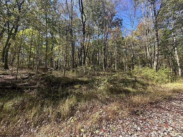 0.33 Acres of Residential Land for Sale in Terra Alta, West Virginia