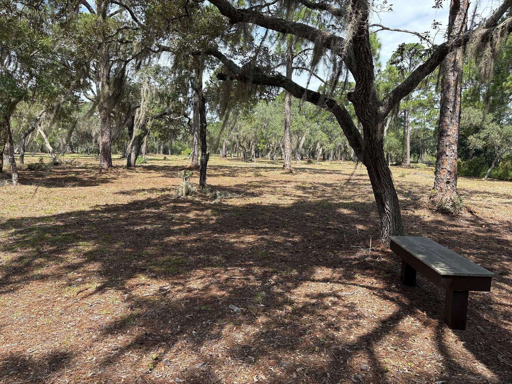 5.5 Acres of Land for Sale in Panacea, Florida