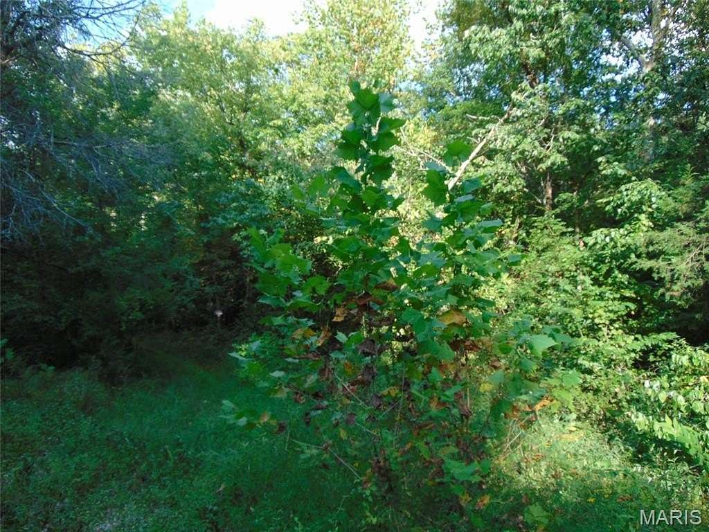 77 Acres of Land for Sale in Doniphan, Missouri