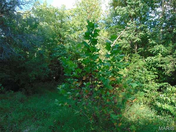 77 Acres of Land for Sale in Doniphan, Missouri