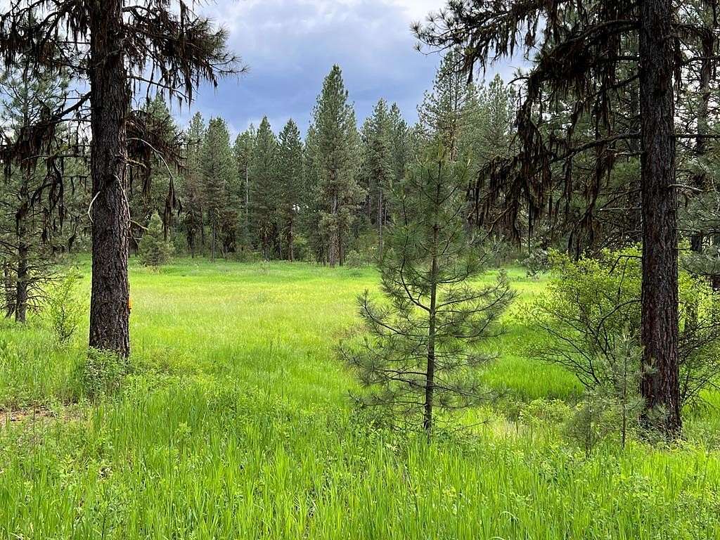 5 Acres of Residential Land for Sale in New Meadows, Idaho