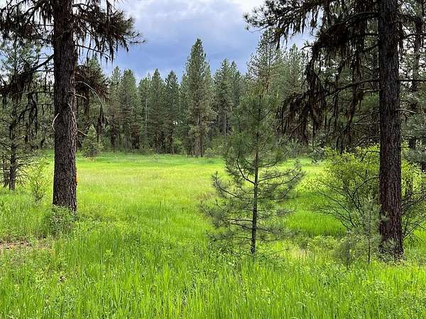 5 Acres of Residential Land for Sale in New Meadows, Idaho