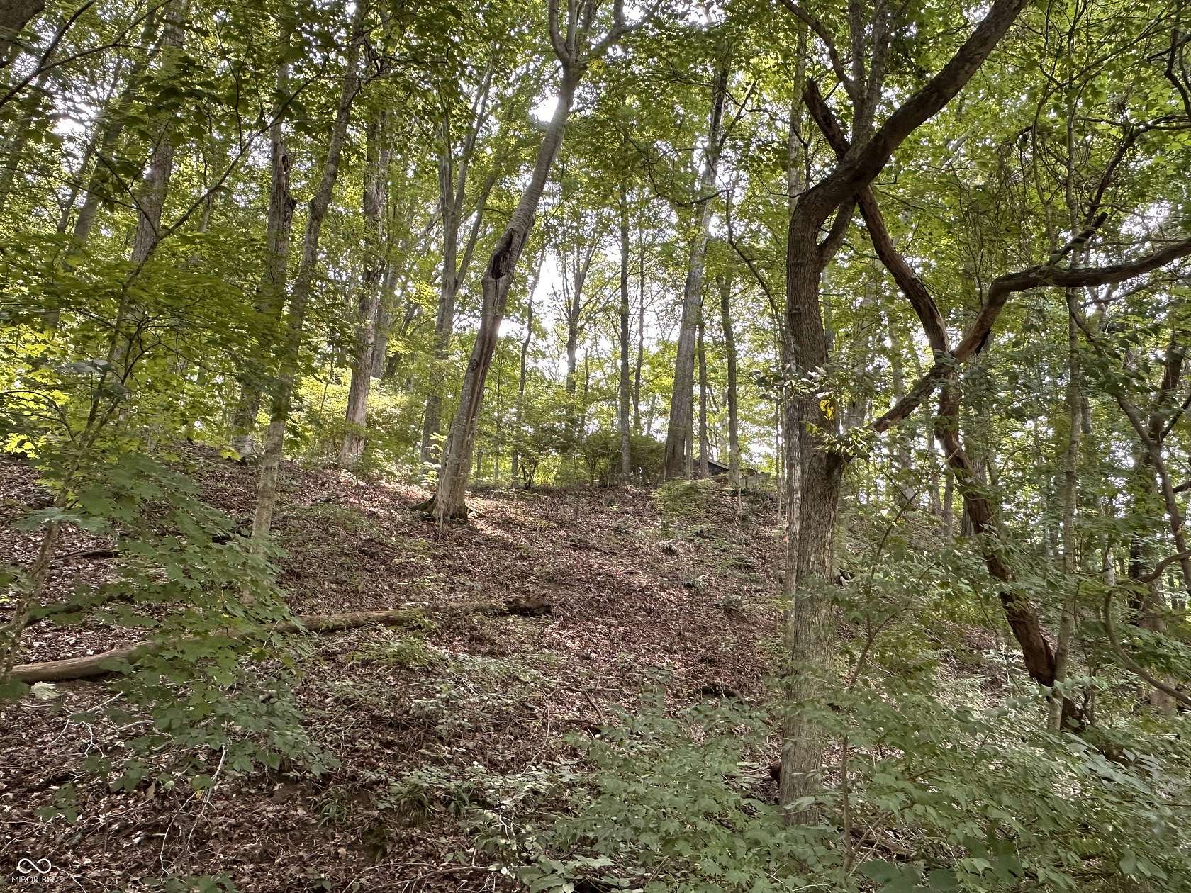 4.5 Acres of Residential Land for Sale in Morgantown, Indiana