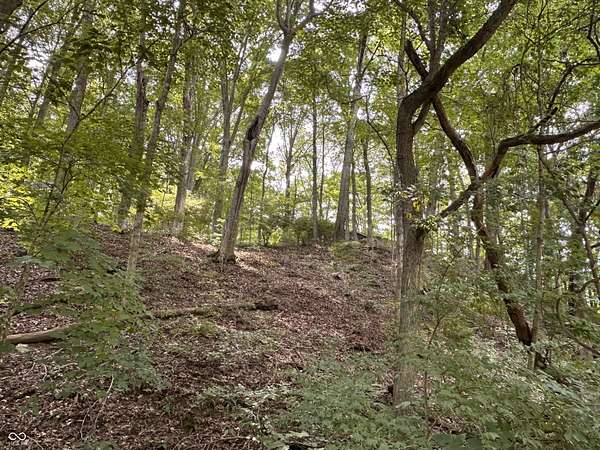 4.5 Acres of Residential Land for Sale in Morgantown, Indiana