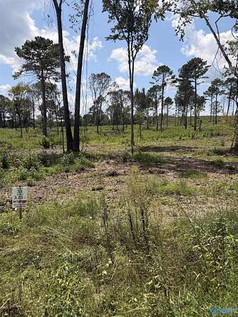 3.25 Acres of Residential Land for Sale in Centre, Alabama