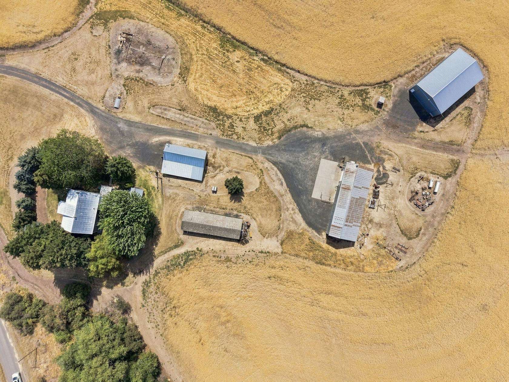 20.2 Acres of Agricultural Land with Home for Sale in Rosalia, Washington