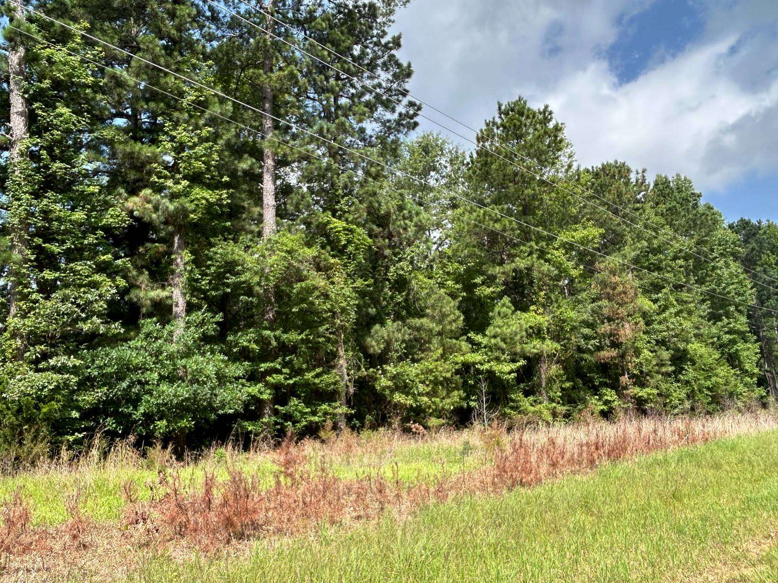 52 Acres of Recreational & Residential Land for Sale in Magnolia, Arkansas
