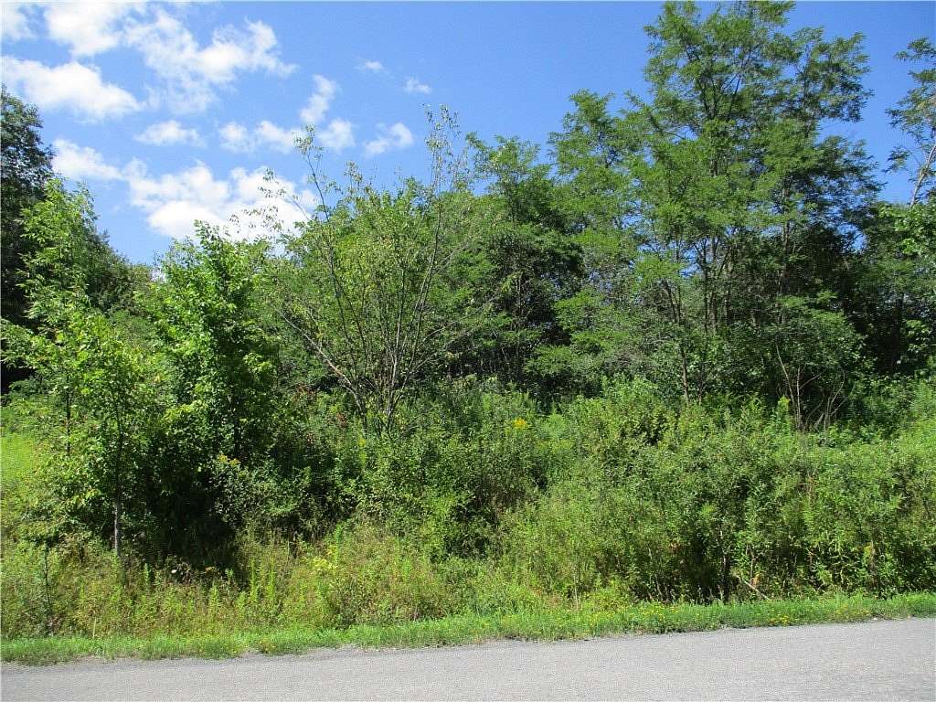 59 Acres of Recreational Land for Sale in South Plymouth, New York