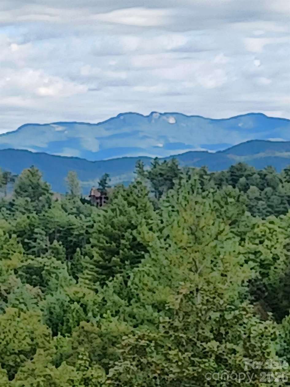 12.5 Acres of Land for Sale in Lenoir, North Carolina