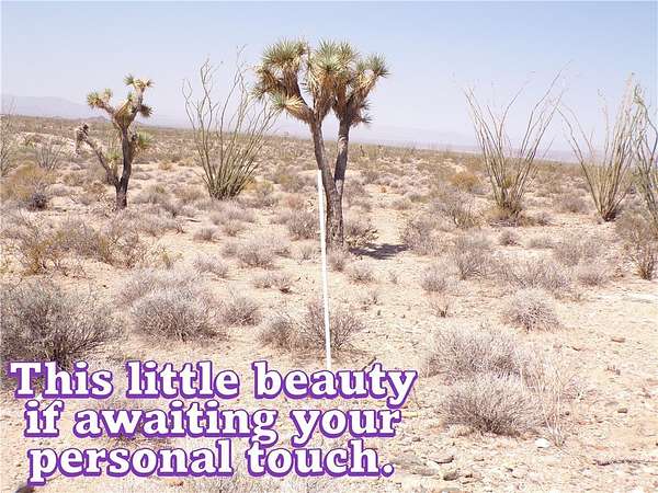 1.15 Acres of Residential Land for Sale in Yucca, Arizona
