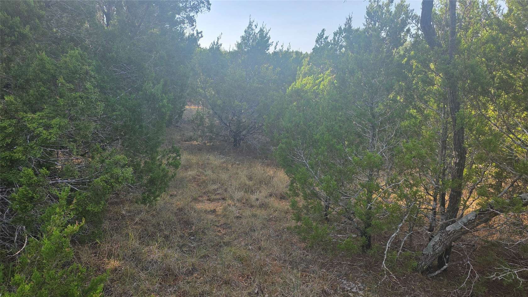 0.36 Acres of Residential Land for Sale in Whitney, Texas