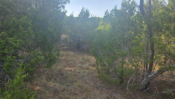 0.36 Acres of Residential Land for Sale in Whitney, Texas