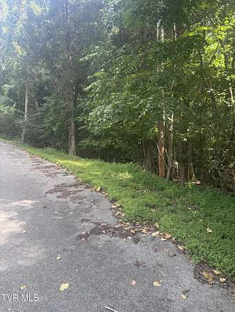 Residential Land for Sale in Johnson City, Tennessee